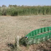 La Junta apuesta por los pozos se recarga para inundar Las Tablas La Junta apuesta por los pozos se recarga para inundar Las Tablas
