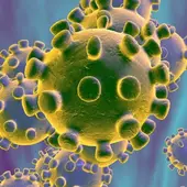 coronavirus coronavirus