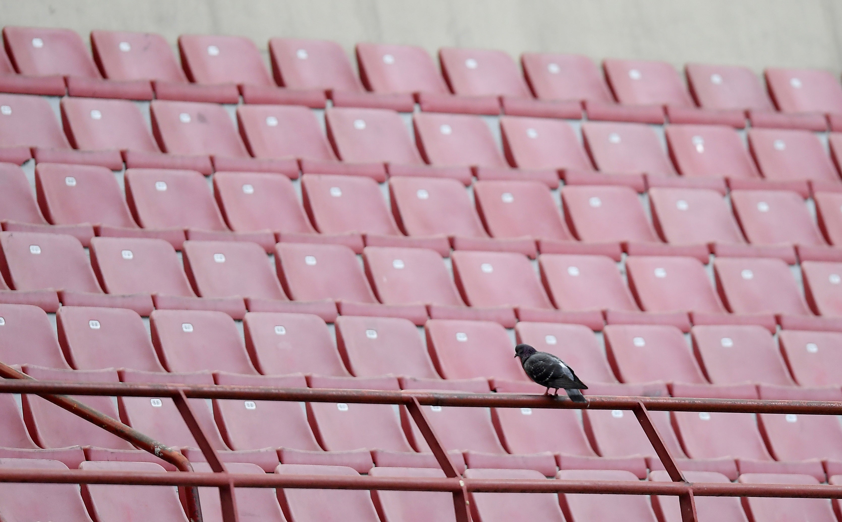 El Sanedrín: ¿Es conveniente abrir el fútbol al público en el final de laLiga' El Sanedrín: ¿Es conveniente abrir el fútbol al público en el final de laLiga'