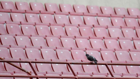 Estadio sin p&uacute;blico