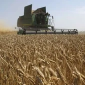 onda agraria onda agraria