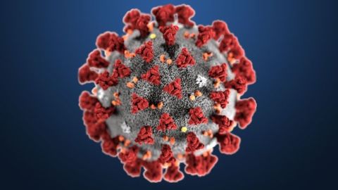 coronavirus