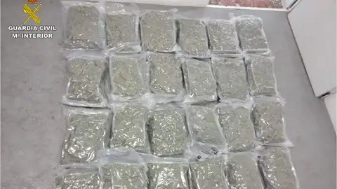 Parte de la marihuana intervenida en Villena. Parte de la marihuana intervenida en Villena.