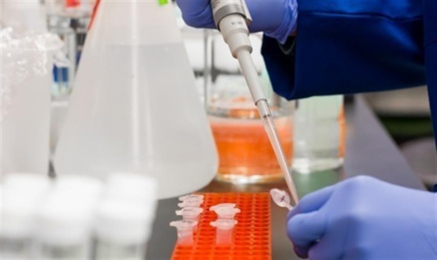 Los contagios por coronavirus continúan pero no hay presión en los hospitales Los contagios por coronavirus continúan pero no hay presión en los hospitales