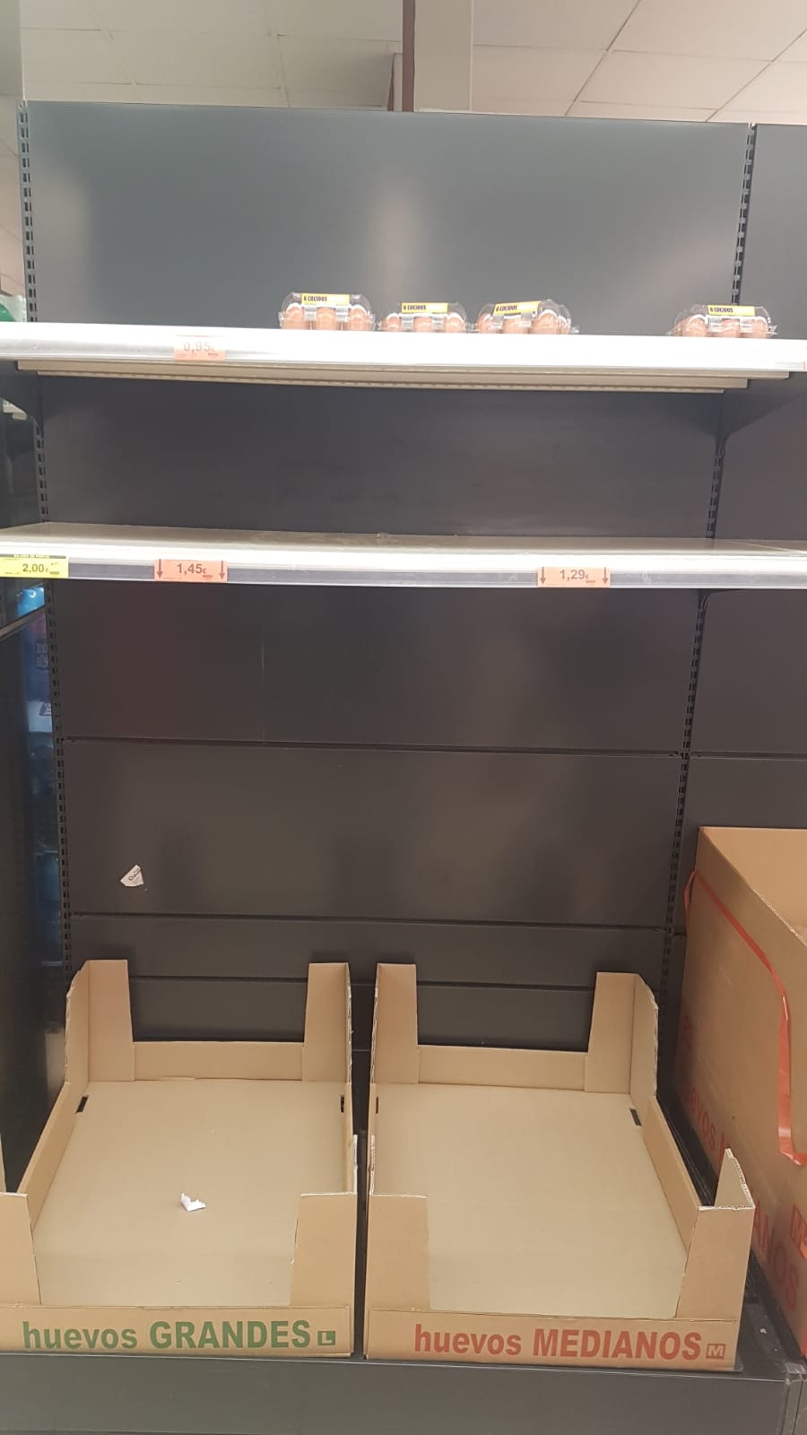 Insa:"No hay peligro de desabastecimiento en los supermercados de Castellón" Insa:"No hay peligro de desabastecimiento en los supermercados de Castellón"