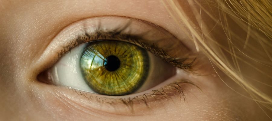 Glaucoma: Recomendaciones para prevenir y controlar la enfermedad Glaucoma: Recomendaciones para prevenir y controlar la enfermedad