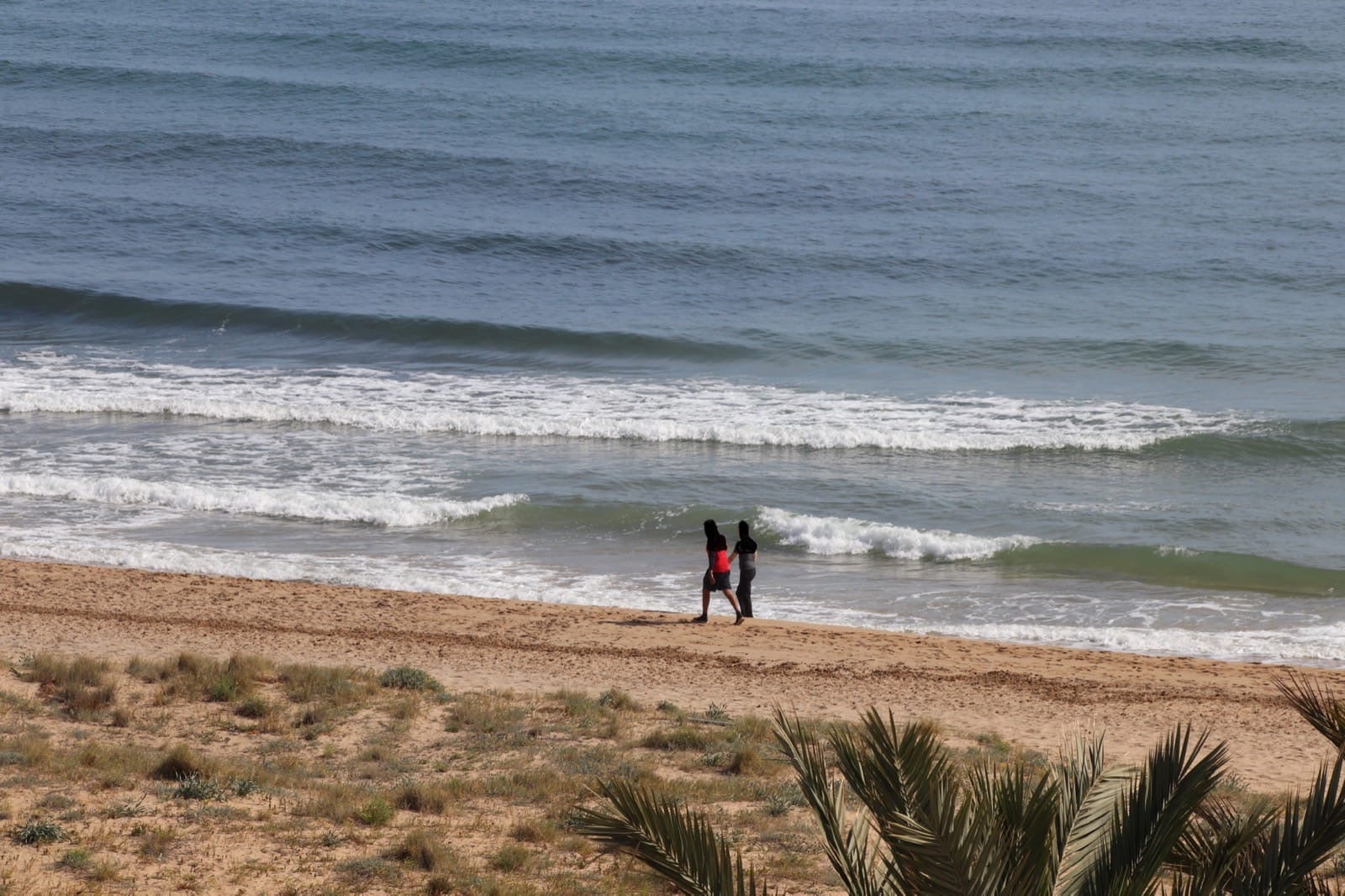 El Ayuntamiento prohíbe el acceso y el baño en las playas de Elche por el coronavirus El Ayuntamiento prohíbe el acceso y el baño en las playas de Elche por el coronavirus