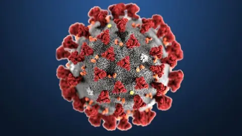 coronavirus coronavirus covis 19