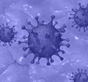 Imagen de un coronavirus Imagen de un coronavirus