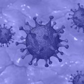 Imagen de un coronavirus