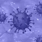 Imagen de un coronavirus Imagen de un coronavirus