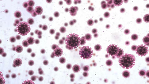 Especial Coronavirus