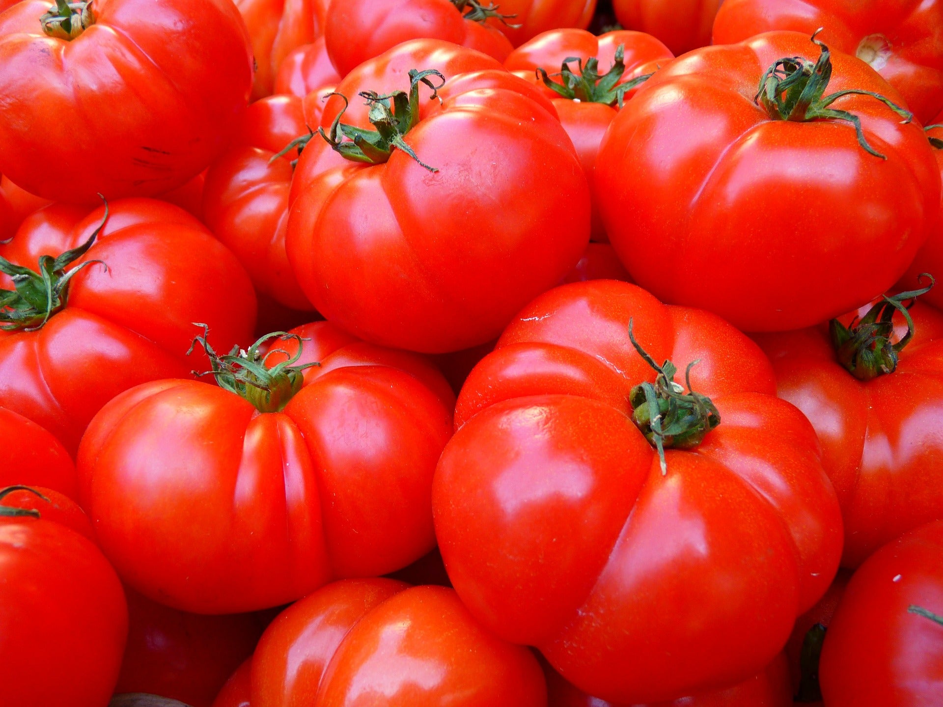 El tomate: todas sus propiedades, beneficios y recetas El tomate: todas sus propiedades, beneficios y recetas