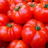 La proteina que ayudo a aumentar cien veces el tamano de los tomates