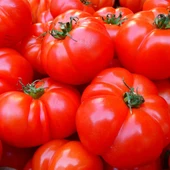 La proteina que ayudo a aumentar cien veces el tamano de los tomates La proteina que ayudo a aumentar cien veces el tamano de los tomates
