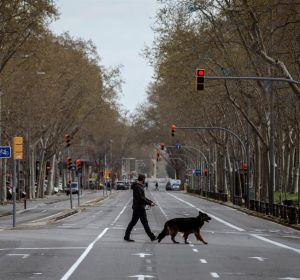 Pasear al perro durante la cuarentena Pasear al perro durante la cuarentena