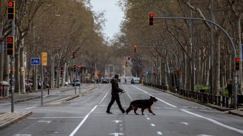 Pasear al perro durante la cuarentena