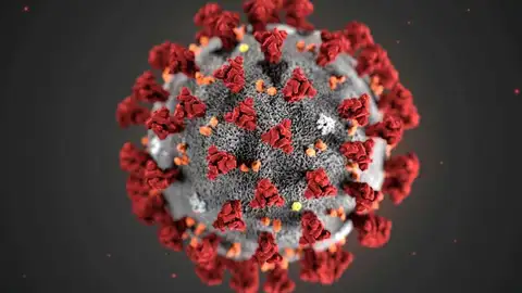 coronavirus coronavirus