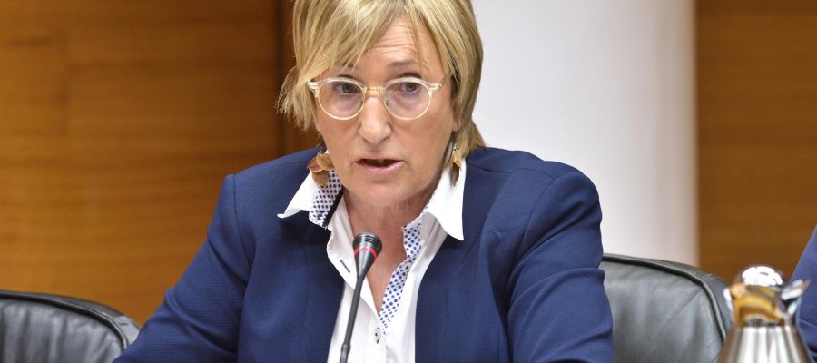 La consellera de Sanidad, Ana Barceló. La consellera de Sanidad, Ana Barceló.