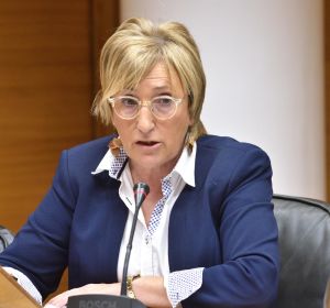 La consellera de Sanidad Ana Barceló. La consellera de Sanidad Ana Barceló.