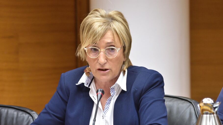 La consellera de Sanidad, Ana Barcel&oacute;.