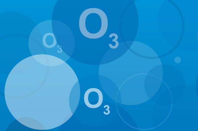 Más de Uno Córdoba. SOLIDARIOS Más de Uno Córdoba. SOLIDARIOS