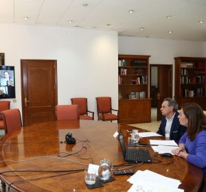 La presidenta de Baleares, Francina Armengol, durante una videoconferencia con responsables de puertos y aeropuertos. La presidenta de Baleares, Francina Armengol, durante una videoconferencia con responsables de puertos y aeropuertos.