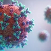Virus