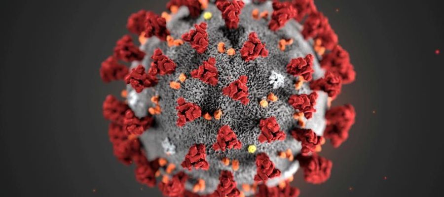 coronavirus coronavirus