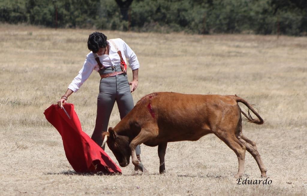 Ángel Moreno: "Vendemos un producto perecedero. Si los toros cumplen 6 años ya no se pueden lidiar en la plaza" Ángel Moreno: "Vendemos un producto perecedero. Si los toros cumplen 6 años ya no se pueden lidiar en la plaza"