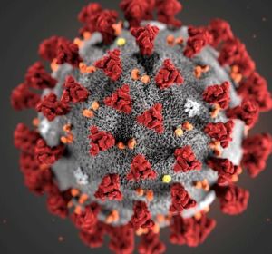 coronavirus coronavirus