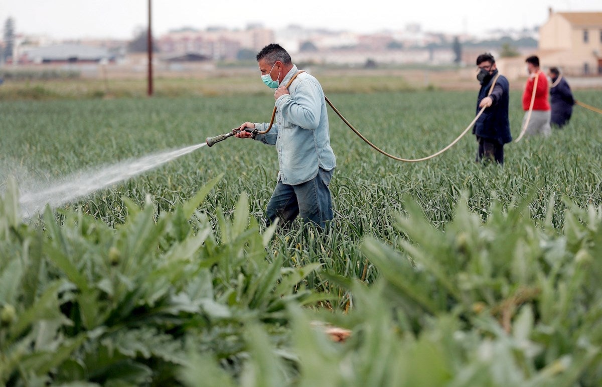 Las preguntas de Amón: "¿Se van a quedar en el campo nuestras cosechas?" Las preguntas de Amón: "¿Se van a quedar en el campo nuestras cosechas?"