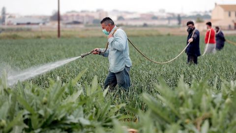 Imagen de archivo de trabajadores en el campo