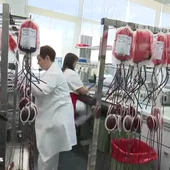 Alemania da luz verde al uso de plasma para tratar enfermos de coronavirus Alemania da luz verde al uso de plasma para tratar enfermos de coronavirus