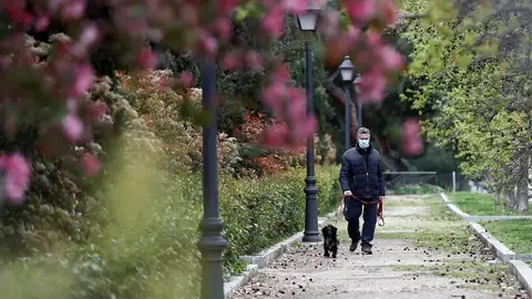 Un hombre con mascarilla pasea a su perro en Madrid Un hombre con mascarilla pasea a su perro en Madrid