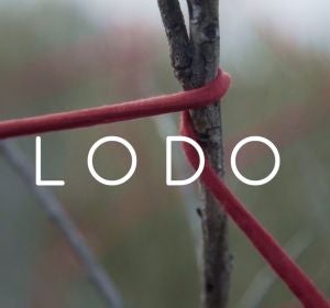 Ana Gulías recomenda... "Lodo" de Xoel López Ana Gulías recomenda... "Lodo" de Xoel López