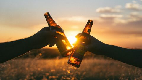 Brindis con cerveza en un campo de trigo