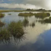 Las Tablas de Daimiel sigue incrementado su superficie encharcada Las Tablas de Daimiel sigue incrementado su superficie encharcada