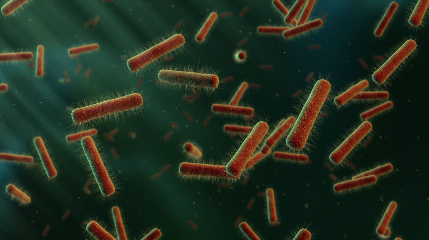 La Brújula de la ciencia: Las bacterias que viven en los tumores episode artwork
