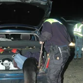Policía Canina San Fernando Policía Canina San Fernando