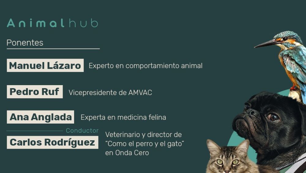 Animal Hub