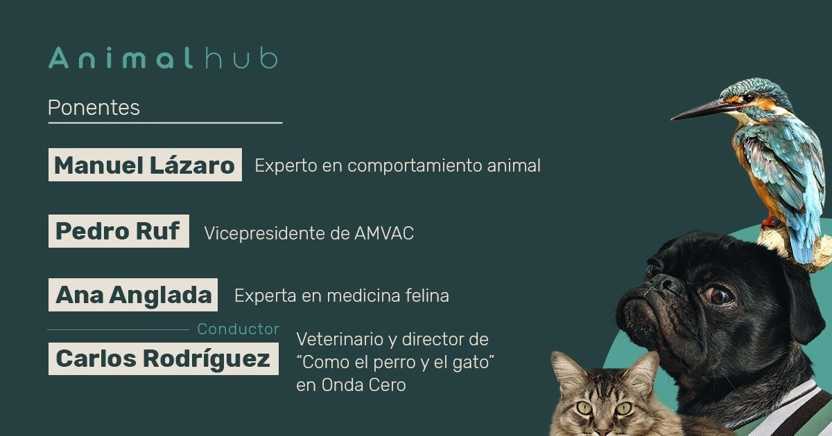 Mesa redonda: Cuidado y bienestar de nuestras mascotas durante el confinamiento Mesa redonda: Cuidado y bienestar de nuestras mascotas durante el confinamiento