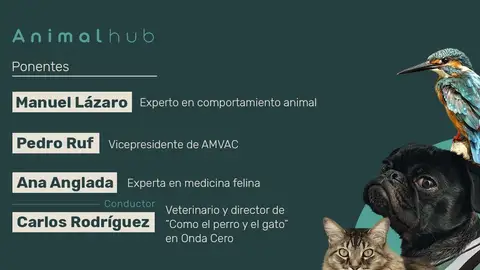 Animal Hub Animal Hub