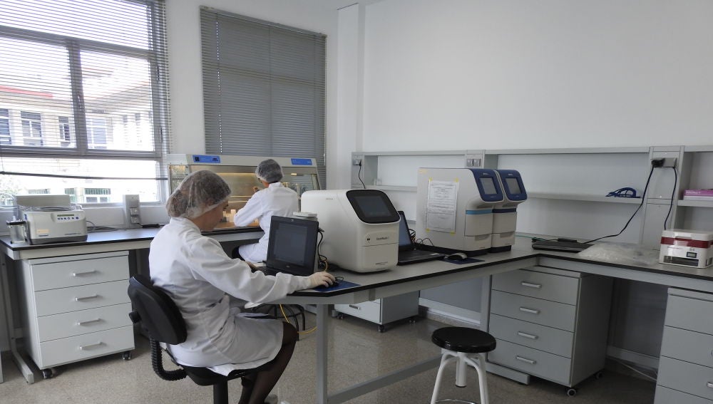 Imagen de archivo del laboratorio en Elche de Genetic Analysis Strategies.