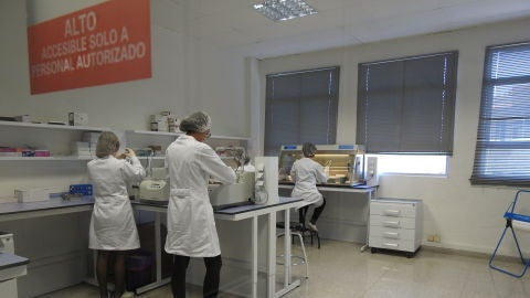 Laboratorio de Genetic Analysis Strategies en Elche.