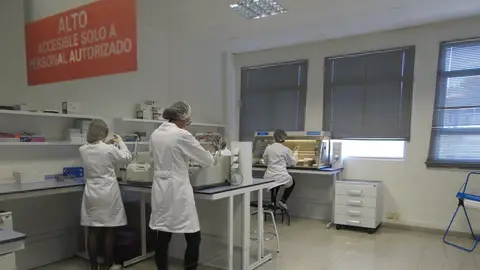 Laboratorio de Genetic Analysis Strategies en Elche. Laboratorio de Genetic Analysis Strategies en Elche.