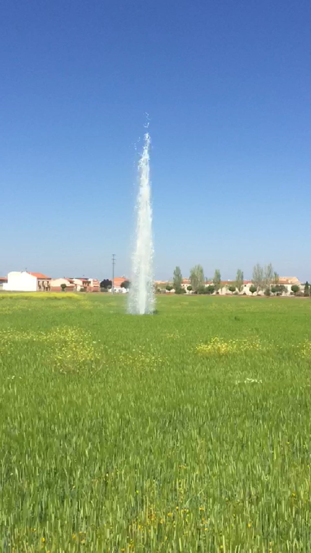 La UCLM determina que el géiser de Almagro lleva activo desde hace 8 años La UCLM determina que el géiser de Almagro lleva activo desde hace 8 años