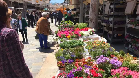 Suspendido el Mercado de la Flor de Ampudia Coronavirus