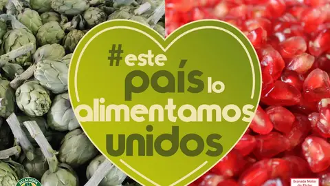 Campaña de la granada Mollar de Elche y la marca Alcachofa Vega Baja. Campaña de la granada Mollar de Elche y la marca Alcachofa Vega Baja.