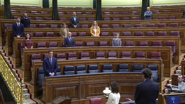 Así ha sido el minuto de silencio en el Congreso por las víctimas del coronavirus Así ha sido el minuto de silencio en el Congreso por las víctimas del coronavirus